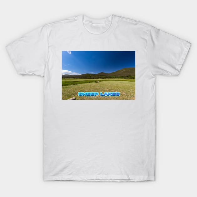 Sheep Lakes at Rocky Mountain National Park T-Shirt by Gestalt Imagery